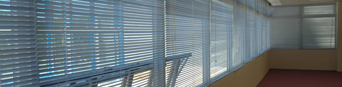 Motorized Roman Blinds